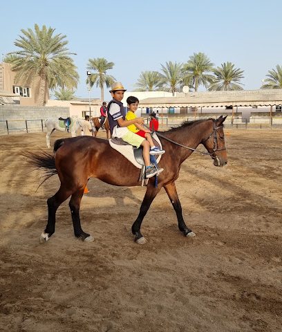 مدرسة الصافنات للخيول - السويق - +968 9380 8155