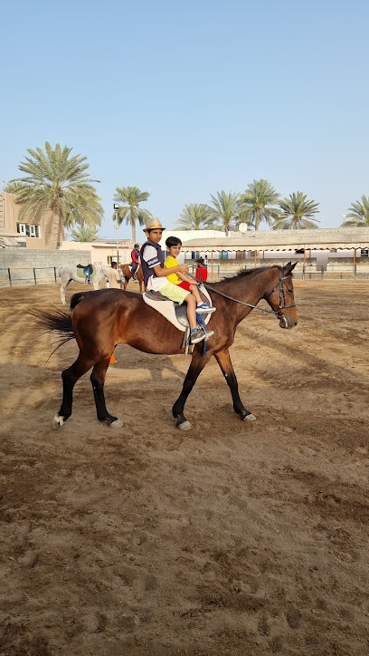 مدرسة الصافنات للخيول - Oman|Al Suwayq|RCMM+659