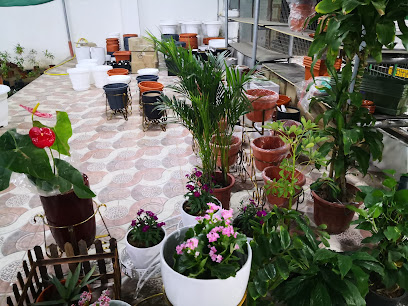 حضانة مشتل الزيتون ازيتون - بركاء - +968 9920 5146