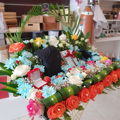 بن ناصر للتجارة فرع شناص - شناص - +968 9116 0908