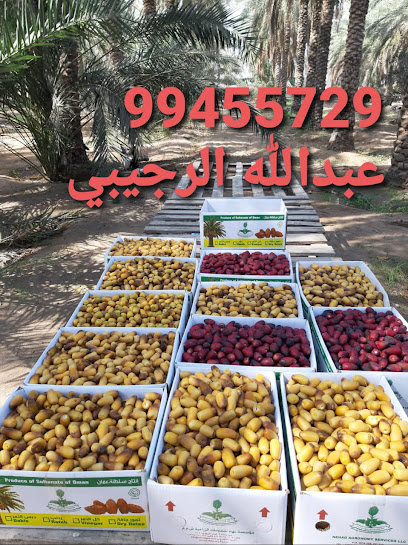 نهاد الهندسة الزراعية - Oman|Al Suwayq|Unnamed Road،
