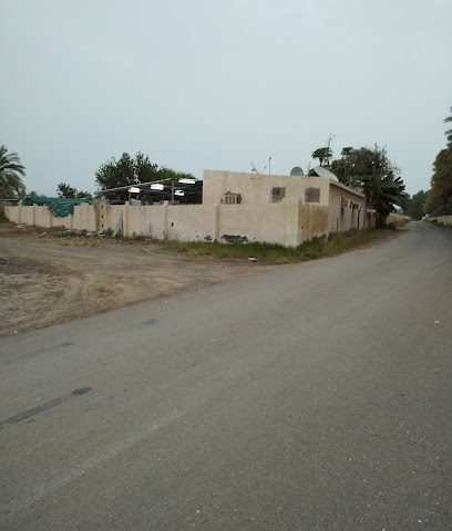 البيت الاخضر (دفيئة) - صحار -