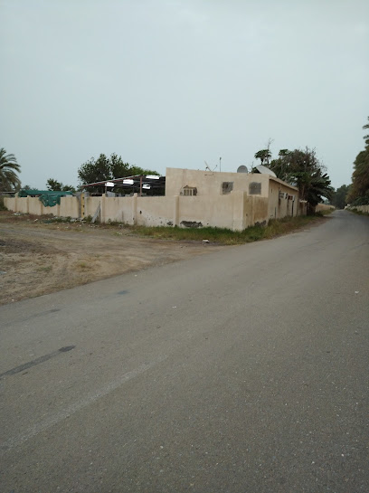 البيت الاخضر (دفيئة) - Oman|Sohar|CJ8R+GG
