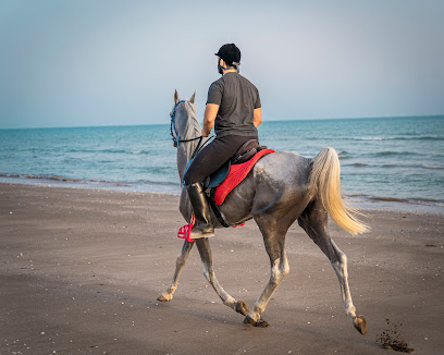 اسطبلات ربدان لتعليم الفروسية - السيب - +968 9699 6016
