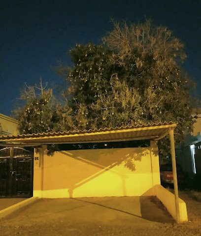 حضانة فلج كيدز - صحار - +968 9226 3027