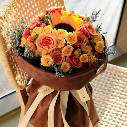 لوفينوت - مسقط - +968 9116 6048