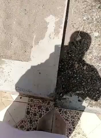 حضانة واحة مسقط الخوير - مسقط - +968 9808 4914