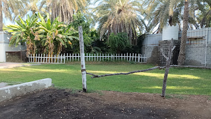 مزرعة الغور - السيب -