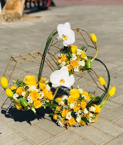 جميل بلوسوم - مسقط - +968 9458 8989