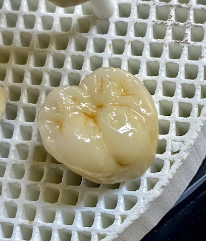 مختبر الشامل لطب الاسنان بصحار - صحار - +968 9827 2781