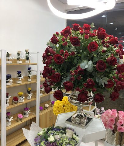 مدينة الزهور عمان - مسقط -