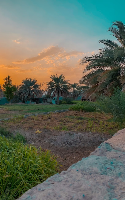 مزرعة المختبية - مزرعة المختبية - Oman|Adam|9GPF+W8F