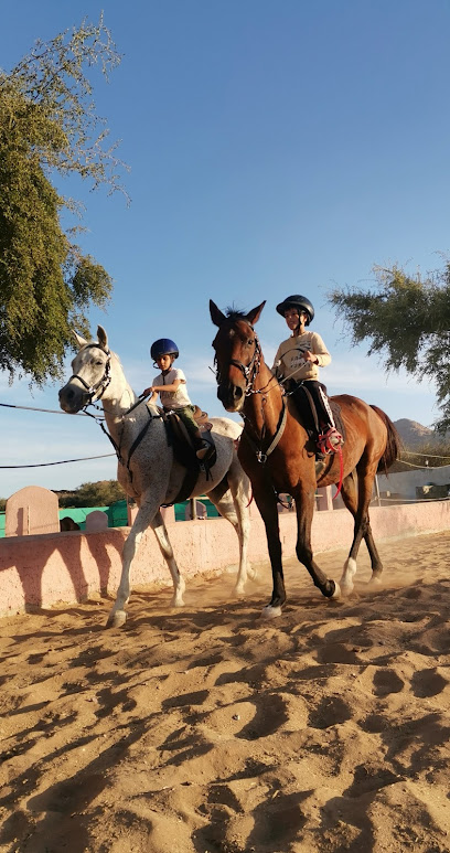 مربط الحمراء مربط الحمراء - Oman|Al Hamra 617|Near to the roundabout