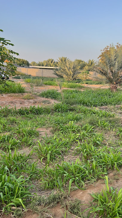 مزرعه مبارك ود سعيد الصابري - Oman|Sur|Unnamed Road|HF2J+XQ3
