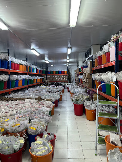 جسر الزهور ، الخوض - Seeb