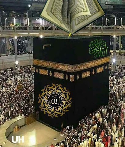 شركة منبا الخير للتجارة - صلالة - +968 9143 1771