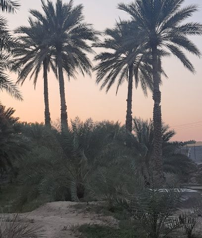 مزرعة نطالة - ادم ، -