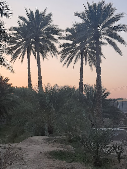مزرعة نطالة - Oman|آدم،|9GPF+JX5،|9GPG+J43