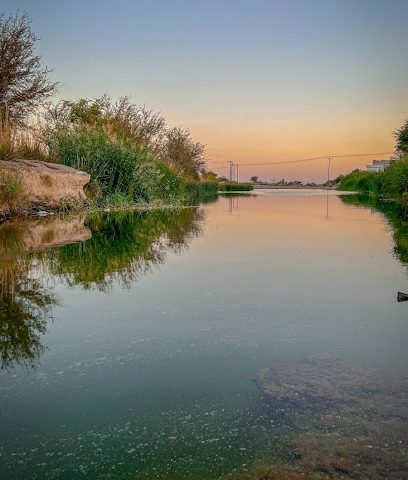 بركة مائية - نزوى -