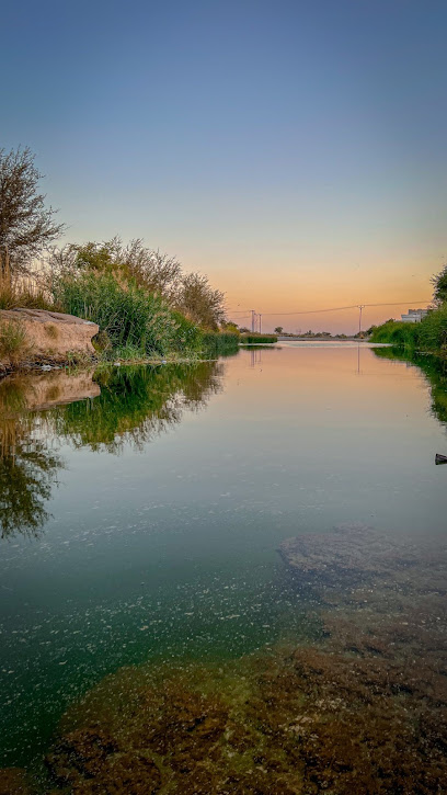 بركة مائية - Oman|Nizwa|VGFG+GHX