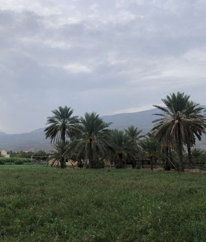 مزرعة مفتاح البلد - الحمرا -