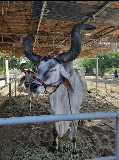 مزرعة MK khimjiramdas - Oman|Barka|mk farm