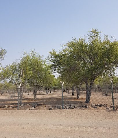 حديقة المسيل - صحار -