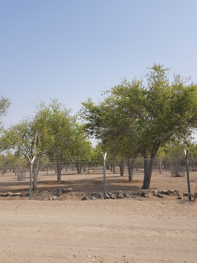 حديقة المسيل - Oman|Sohar|9HQF+XRV