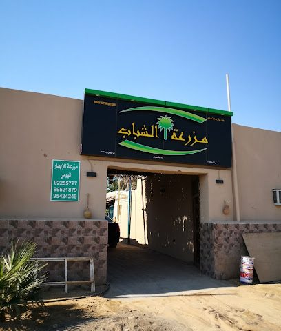 مزرعة الشباب للأيجار اليومي - عبري - +968 9225 5727