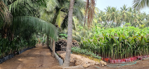ISSA NASER ANR Coconut Shop - صلالة ، -