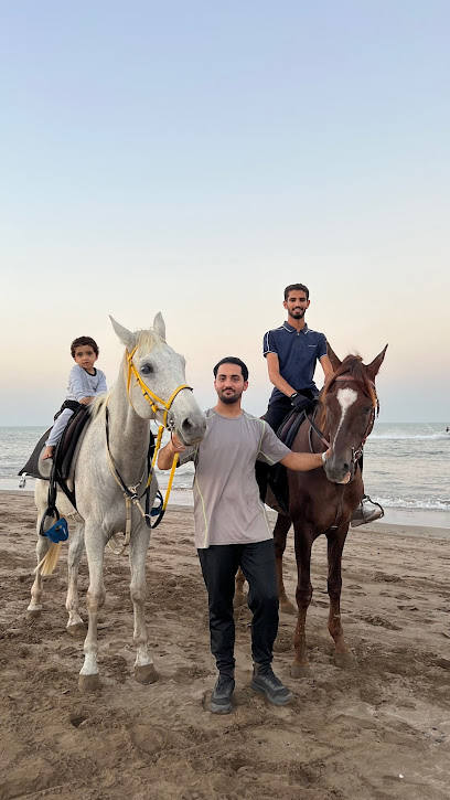 رياضة ركوب الخيل (متوقف حتا نهاية موسم الصيف) - Oman|Muscat