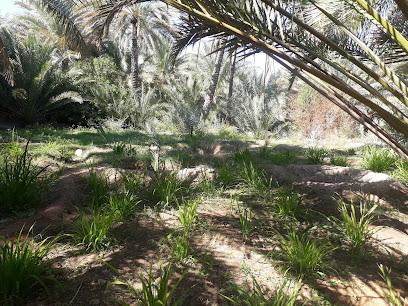 تاريخ حديقة فنجا - فانجا -