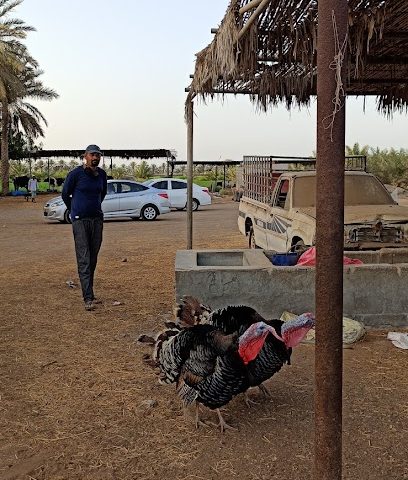 مركز بركاء للحليب الطازج - السقسوق -