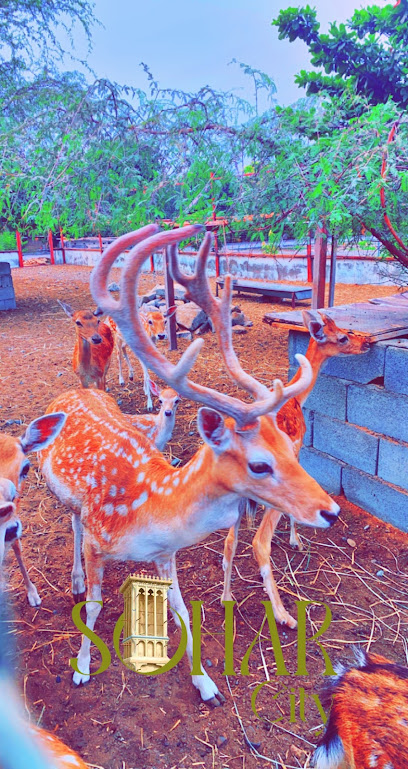استراحة الاسطورة - Oman|Sohar|7Q2J+284
