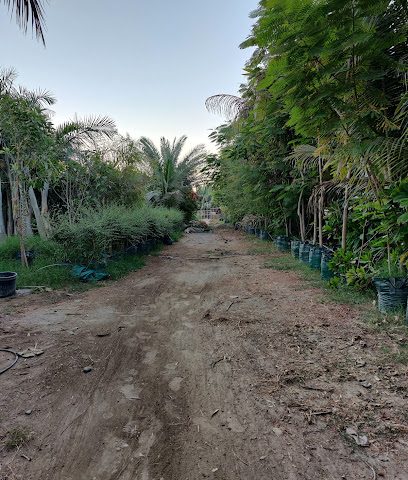 مزرعة الملدة / muladah farm - مولدة - +968 9193 2933