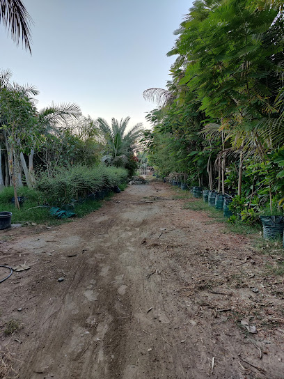 مزرعة الملدة / muladah farm - Oman|Muladdah