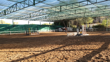 ركوب الخيل العربي - مسقط - +968 9220 7559