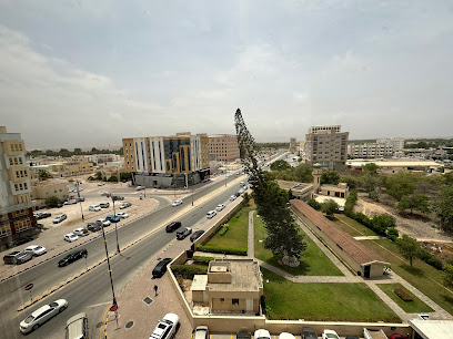 اقدم شجرة بصلالة - صلالة -