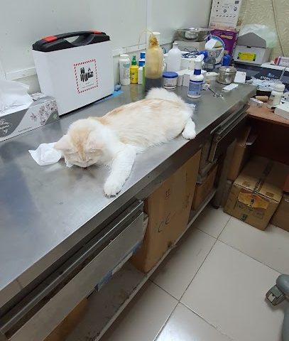 عيادة و مختبر صحار البيطرية - صحار - +968 9778 0200