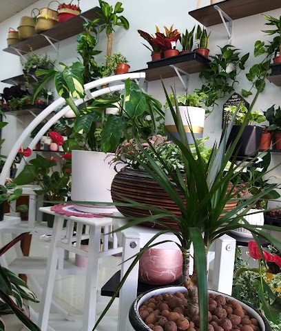 مصنع نوباتي - مسقط - +968 9698 4244