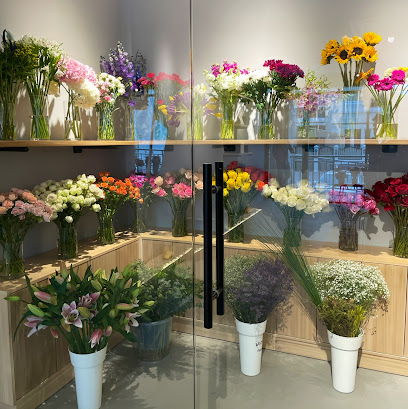 فاز جيفت - مسقط - +968 9248 1858