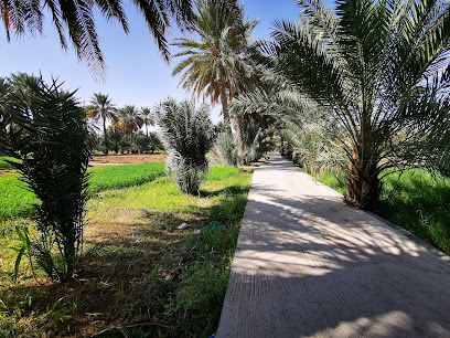 مكتبة العلوم العصرية - الحمرا - +968 7112 0395