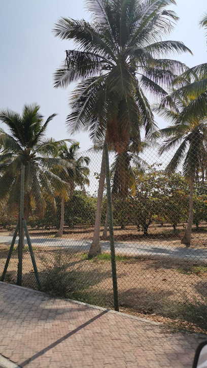 مزرعة أرزات - Oman|Salalah|49|26V4+7GH