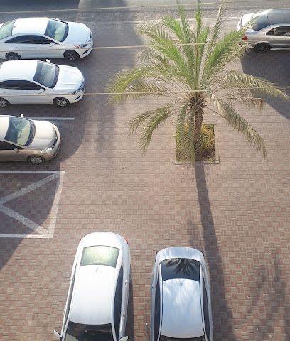 صحار تريفي - صحار -
