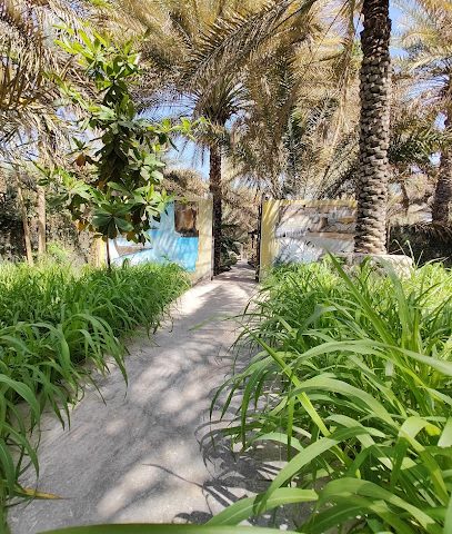 مزرعة أبناء راشد بن سلطان - الفيحاء سمائل - +968 9942 3290