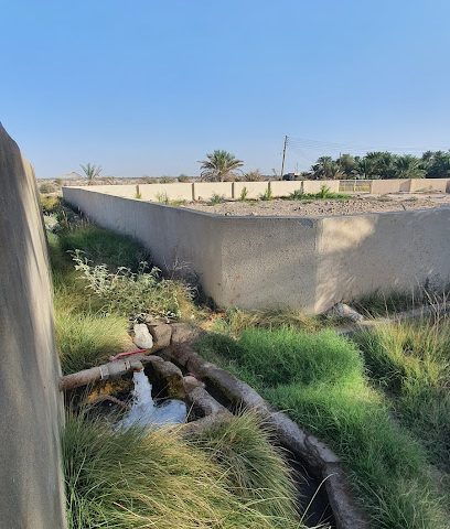 مزارع بونخيلة - ماناه -