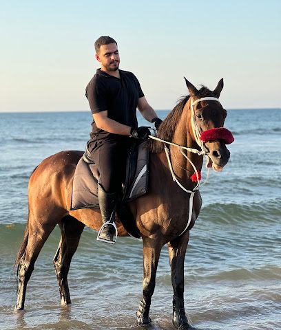 إسطبل المسرات للفروسية - جحلوت ، - +968 9109 5687