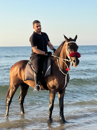 إسطبل المسرات للفروسية - Oman|جحلوت،|8HHR+HV