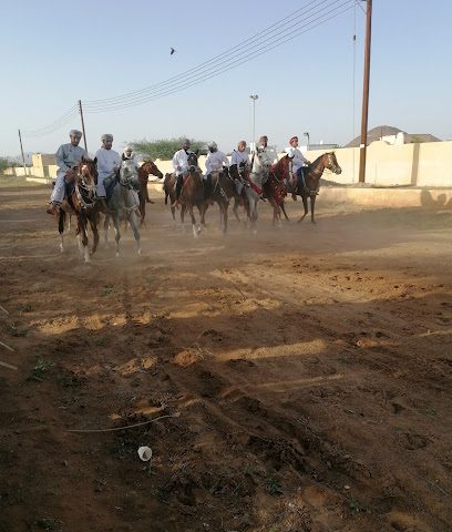 مركاض الثابتي سباق خيول - إبرا -