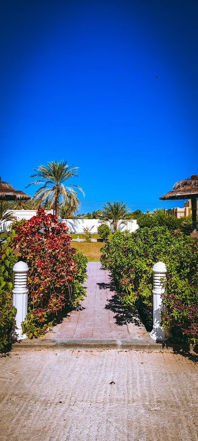 إستراحة النسرين - Oman|Sohar|Unnamed Road